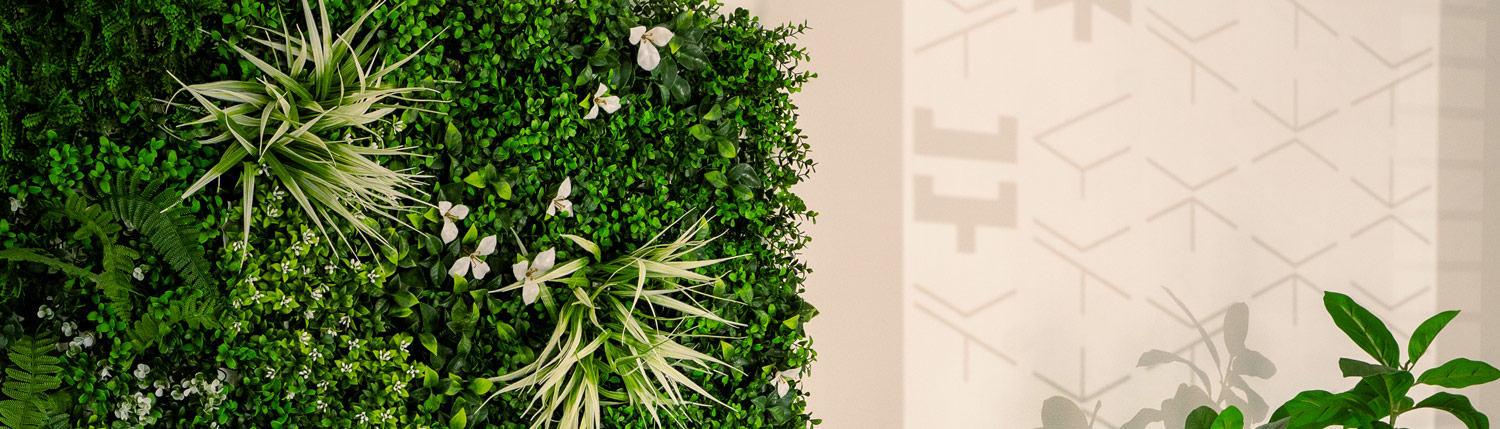 Décoration de l'agence avec une ombre projetée sur le mur